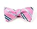 The Tie Bar 100% Woven Silk Pink Striped Self-Tie Bow Tie
