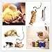 WERTYCITY Cat Exercise Toy - Interactive, Vibrant Colors, Non-Toxic, 3 Collapsible Tunnels, Built-In Crackle Paper, Peephole & Bell, Great for Medium Breeds
