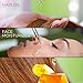Ebanel 1oz/30ml Organic Moroccan Argan Oil, 100% Pure Natural Cold Pressed Hair Oil and Face Skin Moisturizer for Dry Frizzy Hair, Anti-Aging, Skin Hydration Non-Oily Treatment for Men & Women