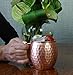 Lifestyle Banquet Moscow Mule Copper Mugs - Set of 2 - 16 oz Pure Solid Hammered Copper Cups with Welded Handle and Recipe Card in Black Satin Gift Box