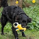 Petface Planet Percy the Parrot Eco Friendly Plush Dog Toy view 5