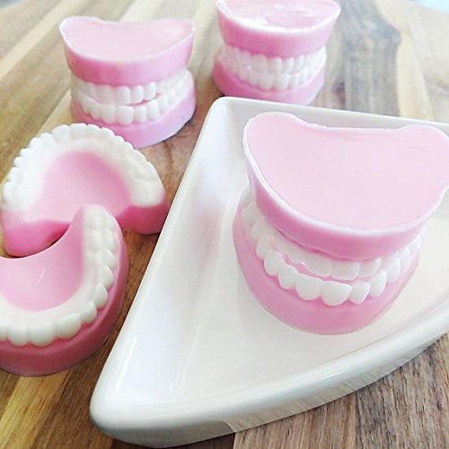 Denture Soap. False teeth funny gift. Brush your teeth. Retirement Over the hill Fun Gift Idea