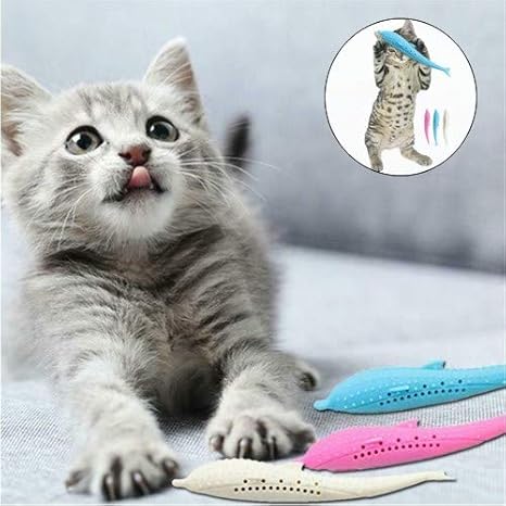 kitten toothbrush