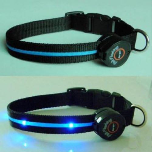 Dog Collar with Blue LED Lights, Multi-Function, Small