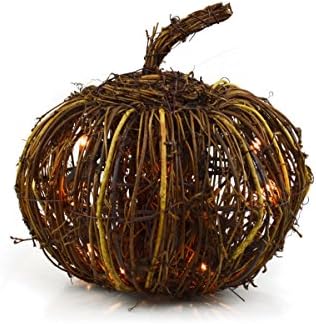 The Wildflower Company 1600653 Pumpkin Round 8" with White Lights, Natural Grapevine, 8"