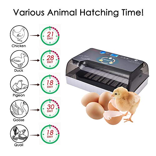 Egg Incubator Digital Fully Automatic Hatcher for 435 Eggs Duck Egg
