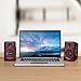 Computer Speakers for Desktop/Laptop/Mac, USB Powered PC Speaker, 2.0 Channel Stereo Multimedia Speaker for TV, Notebook, Built-in Diaphragm,3w3w Horn and in-Line Volume Control TOMOT FT-165