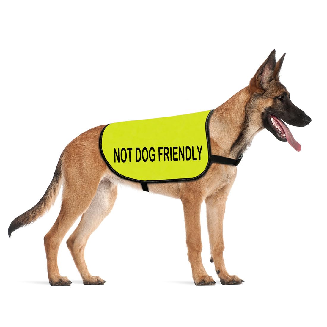 CENWA Funny Dog Jacket - Not Dog Friendly Alert Slogan Warning
