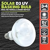 Komodo Solar D3 UV Basking Bulb 80W for Desert Tropical Reptile Habitats view 6