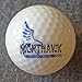 NightHawk 4 Glow in Dark LED Light Up Golf Balls Official Size Weight Constant On