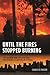 Until the Fires Stopped Burning: 9/11 and New York City in the Words and Experiences of Survivors and Witnesses