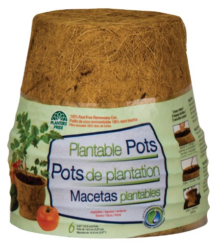 Planters Pride RZR06000 Round Fiber Grow Coconut Coir Pots, 6-Inch, Pack of 6