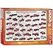 EuroGraphics Vintage Fire Engines 1000 Piece Puzzle