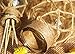 Tenn Well Natural Jute Twine, 2ply 656 Feet Arts and Crafts Jute Rope Industrial Packing Materials Packing String For DIY Crafts, Festive Decoration and Gardening Applications