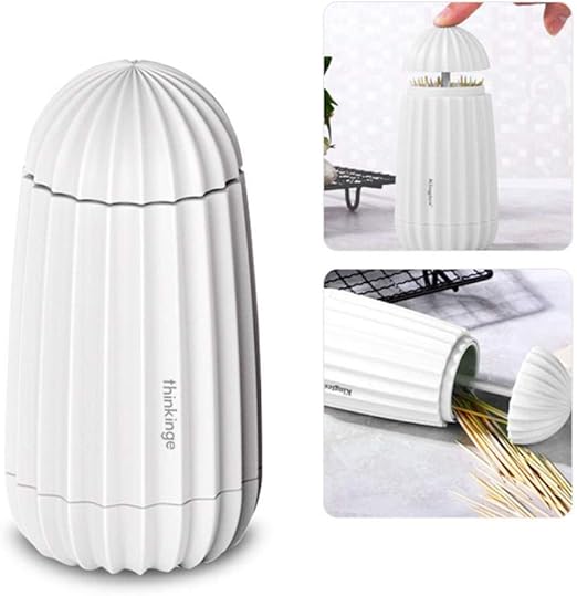 Modern Toothpick Dispenser and Holder Cute Stylish Retractable Push