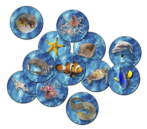 Flagship Carpets FA1002-S12FS Into The Sea Stow-N-Go Set of 12, Multi