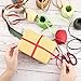 9 Rolls Raffia Ribbon Colorful Raffia Paper Ribbon Twine Ropes for Christmas Valentine's Day DIY Craft Gift Box Packing，591 Feet Totally, 8 Colors