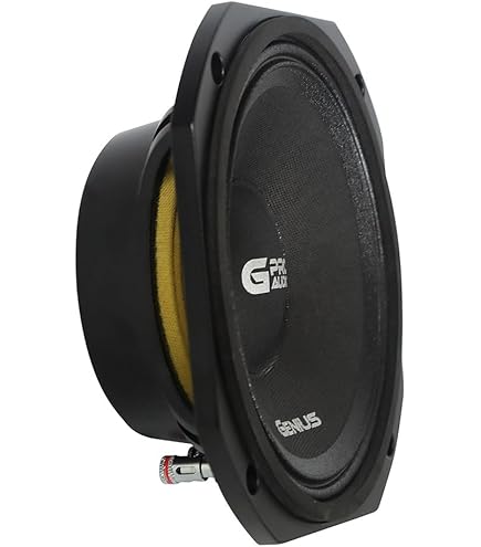 Amazon.com: Genius GPRO-M098 Professional Midbass Car Audio