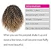 Vigorous Afro Kinky Curly Drawstring Ponytail Extension with Curly Ponytail Hair Piece for Black Women Ombre Blonde Synthetic Hairpiece(1-27#)