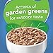 Purina Friskies Indoor Cat Food Flaked Ocean Whitefish Dinner With Garden Greens in Sauce - (Pack of 24) 5.5 oz. Cans