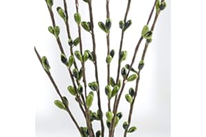 Factory Direct Craft Pack of 12 Avocado Green Pip Berry Stems Summertime Rustic Berries, Farmhouse Home Decor for Table Arrangements and Easter Centerpiece Decorations (12" H)