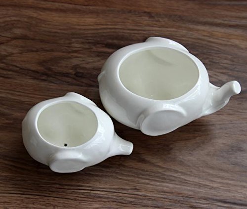 Sea star Set of 2 Cute Elephant Flower Pot,Modern White Ceramic Succulent Planter Pots / Tiny Flower Plant Containers (Elephant)