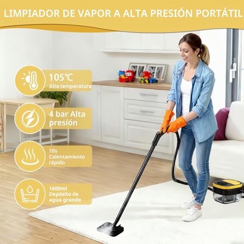 Portable Steam Cleaner, 2500W Powerful Steam Cleaner for Home, 3 Adjustable Speeds, 17 Accessories, 1600 ml Water Tank, 4 Bar Pressure, for Kitchen, Windows, Floors, Cars