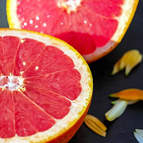 Chef'n Grapefruiter Citrus Sectioning Tool - Thumbnail 3