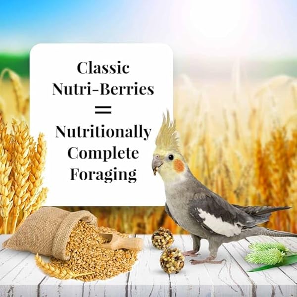 LAFEBER’S CLASSIC NUTRI-BERRIES PET BIRD FOOD, MADE WITH NON-GMO AND HUMAN-GRADE INGREDIENTS, FOR COCKATIELS (4 LB)
