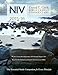 David C. Cook's NIV Bible Lesson Commentary 2015-16: The Essential Study Companion for Every Discipl by 