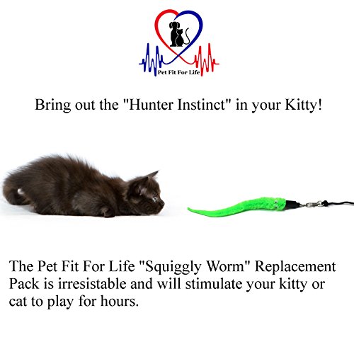 Pet Fit For Life - 5 Piece Kitten Toy Refill Pack - Replacement for Indoor Cat's Interactive Wand and Catch Wand - Features 5 Assorted Soft Squiggly Worm Attachments