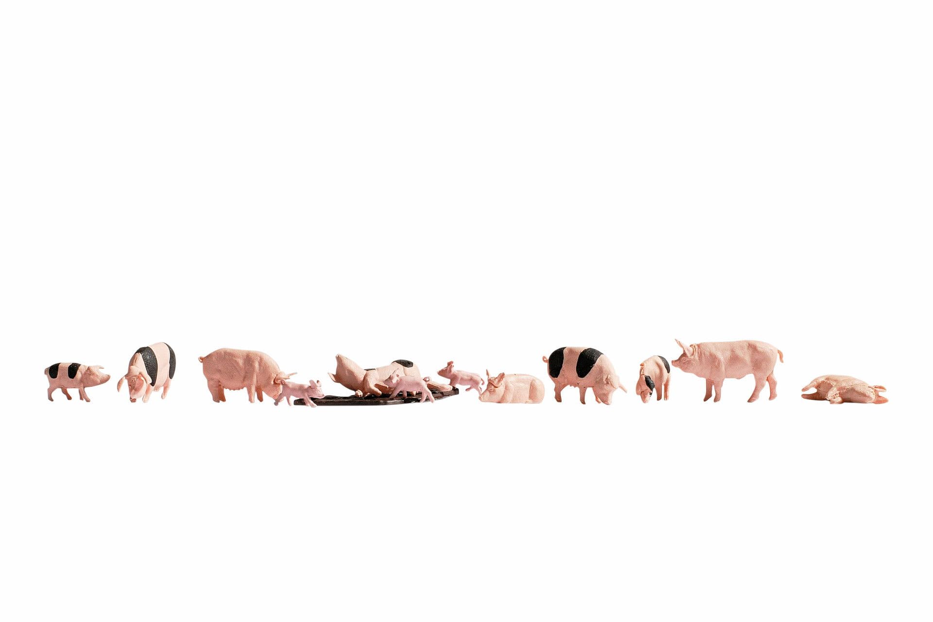 Noch 36712 Pigs Landscape Modelling
