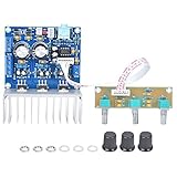 Audio Amplifier Board, AC Dual 12V TDA2030A Chip