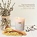 Anjou Scented Candle, Sweet Sour Fruity Smell, 7 oz Glass Jar Stress Relief, Made from 100 Percent Natural Soy Wax and Cotton Wick, Ideal Romantic Gift for Men and Women, Christmas Decor, White