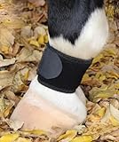 Professional's Choice VenTECH Pastern Wraps Black