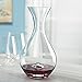 Wine Enthusiast U Wine Decanter