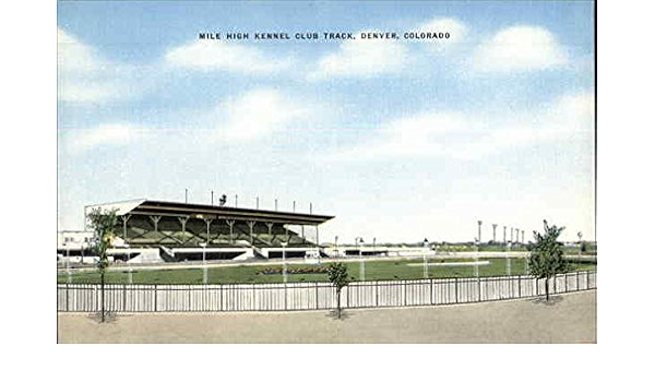 Mile High Kennel Club Track Denver Colorado Co Original Vintage Postcard At Amazon S Entertainment Collectibles Store