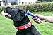 Dog& Cat Shedding Brush and Deshedding Tool, Fur Removal, Dramatically Reduce Shedding up to 90%, Professional Dog &Cat Deshedder for Long and Short Hair by MeeQee, Medium