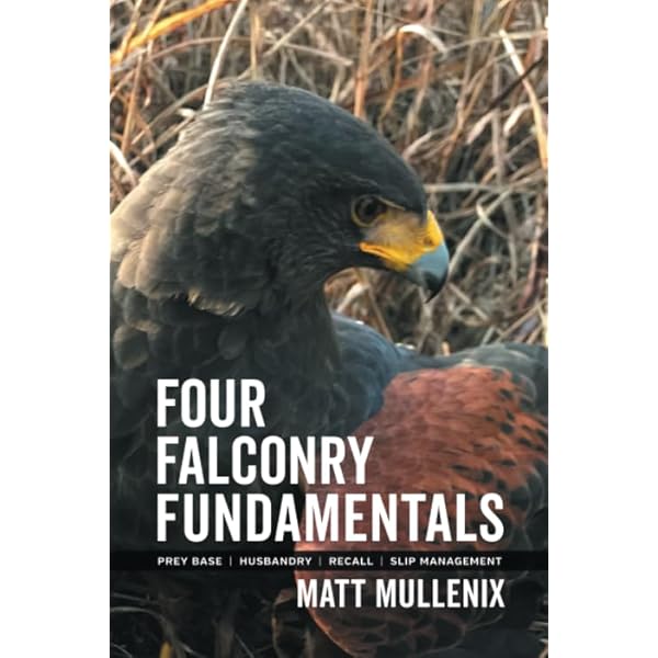 Amazon.com: The Red-Tailed Hawk; A Complete Guide to