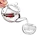 Vivoice Ultra 8.5oz(One Cup) Clear Heat Resistant Glass Teapot Infuser with 250 ml Glass Filter (250ml)