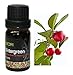 Wintergreen - 100% Pure Therapeutic Grade Essential Oil 10ML