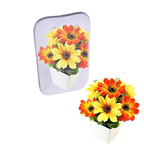 image for Wecando 5Pcs Dental Reflector Mirror Two-sided Photographic Oral Mirro