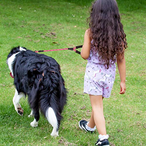 voopet 2 Feet Nylon Dog Leash, Strong Leash with Highly Reflective Threads for Medium Large Heavy Duty Dog Leads, Easy Control with Short Dog Leash for Climbing Training Walking and Guiding Blind - Thumbnail 2