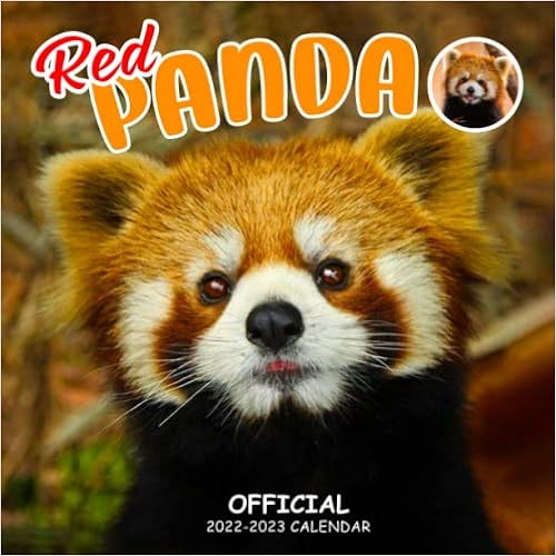 Calendrier Bandas 2023 2Skgaxrgqbmcwm