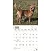 2017 Monthly Wall Calendar - Chihuahuas