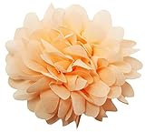 Wholesale Princess 3.5