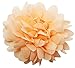 Wholesale Princess 3.5