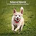 [UPGRADED 2018] No Bark Collar - Best Rechargeable Anti-Barking Shock Control with 5 Levels Automatic Bark Collar for Small Medium Large Dogs Electronic Safe Stop Bark (6+lbs)
