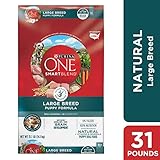Purina ONE Natural Large Breed Dry Puppy Food, SmartBlend Large Breed Puppy Formula - 31.1 lb. Bag