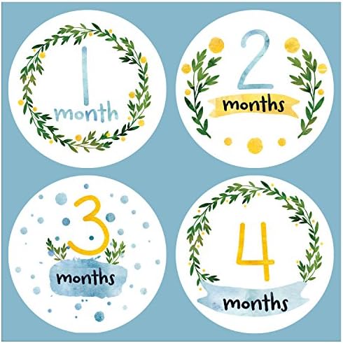 Baby Monthly Stickers in Watercolors - Baby Milestone Onesie Stickers - 1-12 Months - Pinkie Penguin